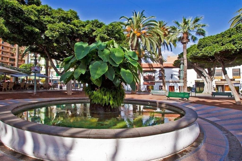 Centrico, Comodo Y Bello Apto En Puerto De La Cruz Bagian luar foto